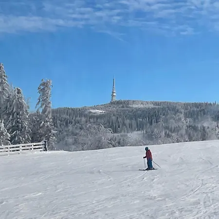 Apartmán Widokowy Jodlowa Ski&bike *