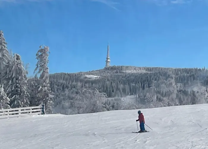 דירה Widokowy Jodlowa Ski&bike *