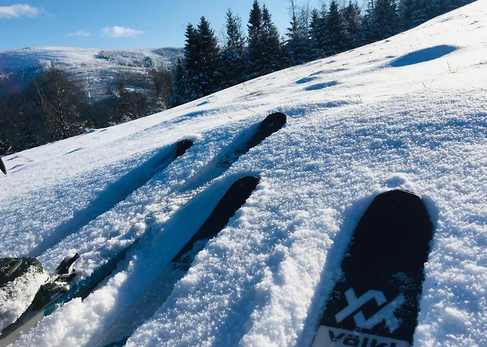 דירה Widokowy Jodlowa Ski&bike